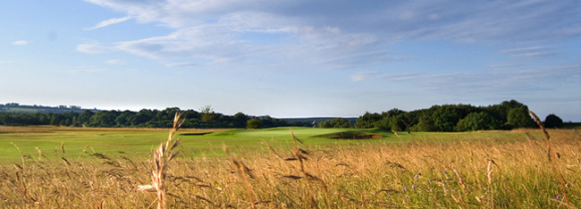 Stinchombe Golf Course