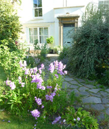 The House