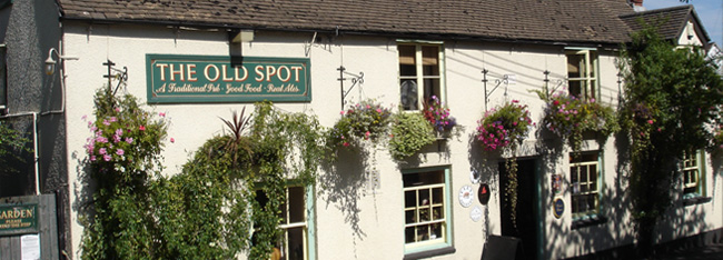 The Old Spot